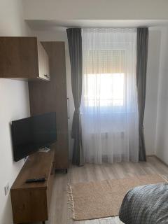 Milojević Apartman - Jagodina - 1