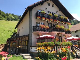 Apartament Darius - Moieciu de Sus - 8