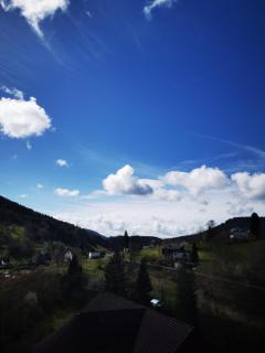 Miu's Ferienwohnung - Alpirsbach - 9