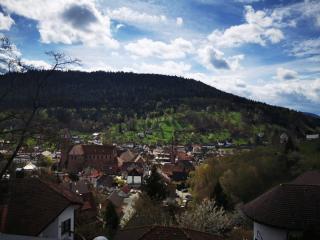 Miu's Ferienwohnung - Alpirsbach - 8