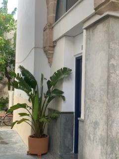 La Casa de los Arcos - Casco Histórico - Parking opcional - Jerez de la Frontera - 3