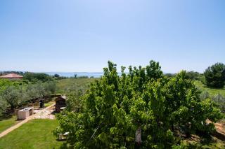 Apartments Stefa - Privlaka - 9