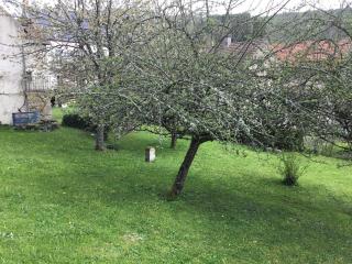 Les Pommiers, Bouilland - Bouilland - 6