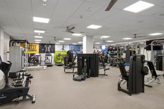 Exclusive Suites in MDR-Venice with Pool, GYM & HotTub - Los Angeles - 6