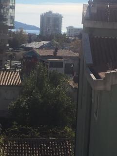 Svetlana apartments - 1