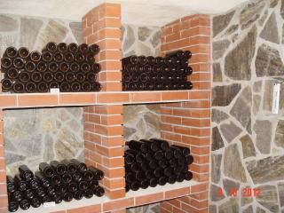 Holiday home Baron - Radeče - 4