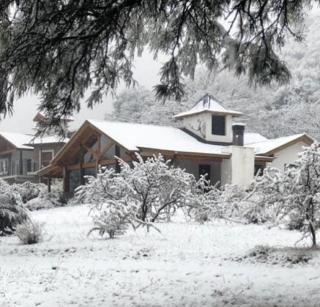 Fincas del Faldeo - 4
