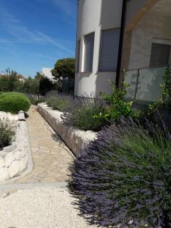 Apartments Home & Garden Lavanda - Brodarica - 9