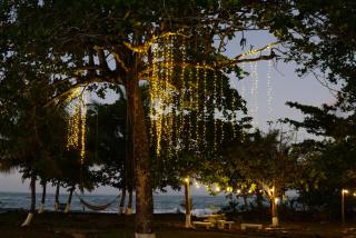 Ocean View Lodge - Cahuita - 3