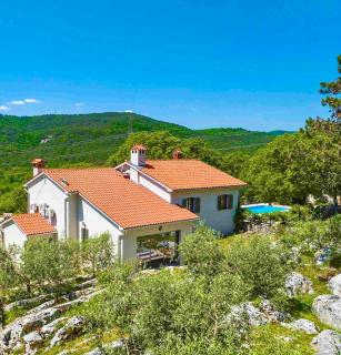 Rustic villa LENI - Šušnjevica - 0