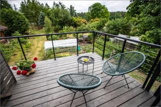Rytas cozy apartment in the guest house with the terrace and the stunning view to the river side - Birštonas - 5