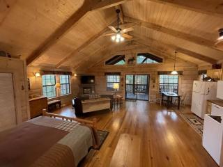 Perfect Loose Moose - Dog and Motorcycle Friendly Home - Tellico Plains - 7