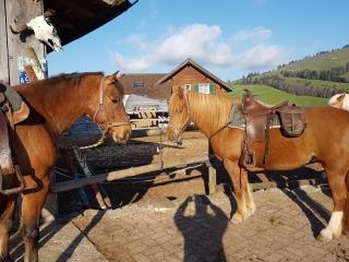 Beaver Creek Ranch - 2