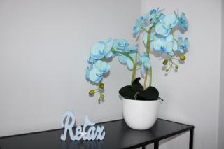 Pokoje Gościnne u Ani - Kołobrzeg - 0