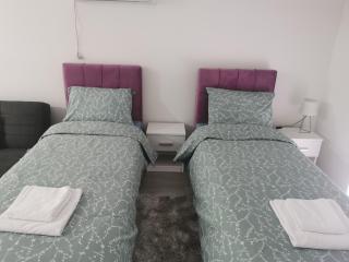 Studio apartmani Banja Koviljaca - Banja Koviljača - 9