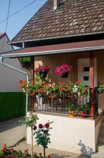 Apartman Mina 1 - Vrdnik - 7