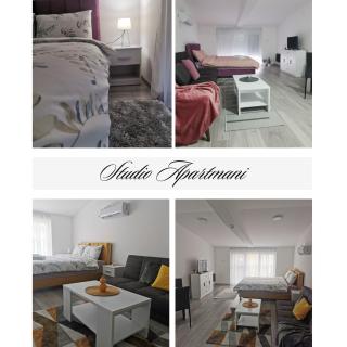 Studio apartmani Banja Koviljaca - Banja Koviljača - 0