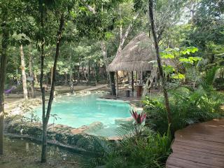 Jungle Chic Villa in Chemuyil - Tulum - 9