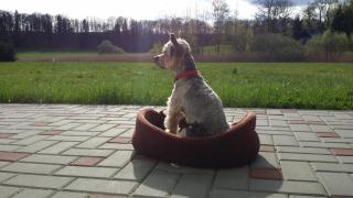 Penzion Hastrman - 3