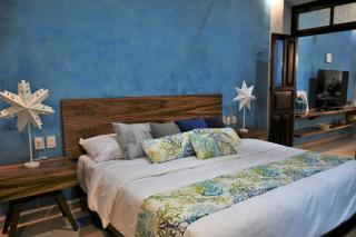 Trilliza Azul - Campeche - 3