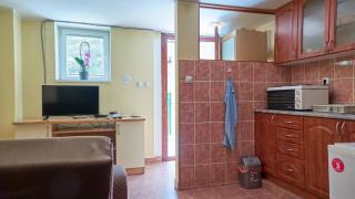 Janković Apartmani u centru - Soko Banja - 0