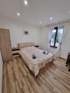 L'Oasis Moderne - Bischheim - 7