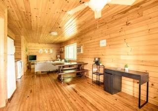 Lazy Bear Cabin near Nantahala Outdoor Center and Bryson City - Bryson City - 4