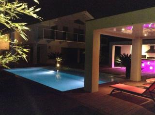 VILLA GRAND STANDING SPA PISCINE - 4