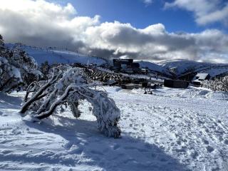 Chalet Hotham 3 - Mount Hotham - 0