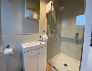 Stunted Totara, Unit 2 - Twizel - 6
