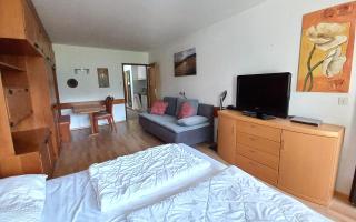 MARIA Seeblick Appartement, Haus Hänsel u Gretel am Ossiacher See mit direktem Seezugang, Hallenbad - 8