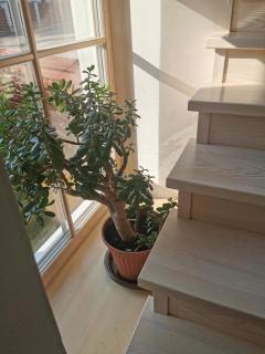 9 min from Palanga! luxury house on the river and sauna - 8