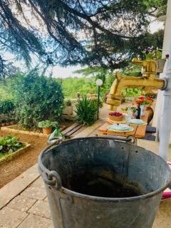 Casina foggia dell'albero - Putignano - 3