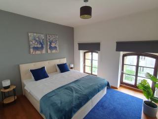 Apartment with 4 bedrooms - Praga - 7