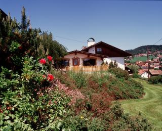 Pension / Ferienwohnungen Ludwig - Rimbach - 6