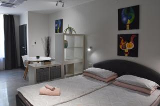 Apartma Darsi - Ajdovščina (Aidùssina) - 7