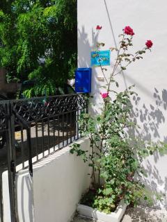Η Ελπίδα και η Γιάννα ξεκίνησαν ένα χώρο cute - Volos - 3