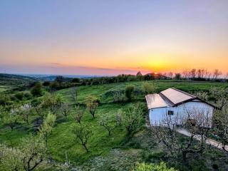 Căsuța din livadă - 9