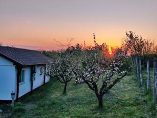 Căsuța din livadă - Oradea - 2