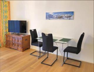 Gemütliches 2 Zimmer Studio mit Gartensitzplatz - Fällanden - 1
