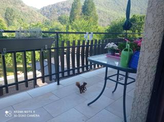 Les Ecureuils - Revin - 3