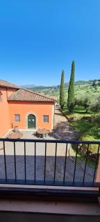 Agriturismo Villa Sardini - Lucques - 5