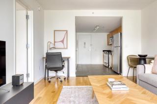 LIC 1BR w WD Elevator Doorman nr E River NYC-850 - 8