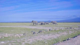 Amboseli Gateway Hotel - 3