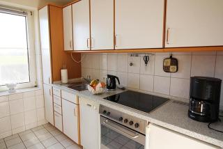 Zaunkönig - Bliesdorf - 7