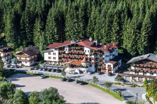 Hotel Auffacherhof - Wildschönau - 1