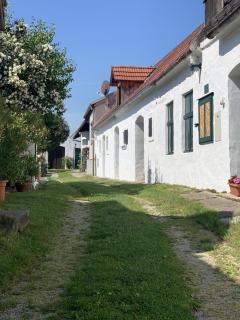 Kieslinghof - Purbach am Neusiedlersee - 0