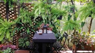 37 Nature House - Bangkok - 5