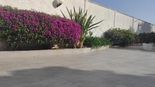 Seagull Apartments - front and Sea View & Airport Bari - Bari - 4