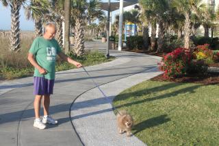 Bar Harbor - Myrtle Beach - 2